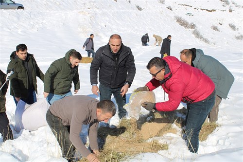 YABANİ HAYVANLAR İÇİN DOĞAYA YEM BIRAKILDI